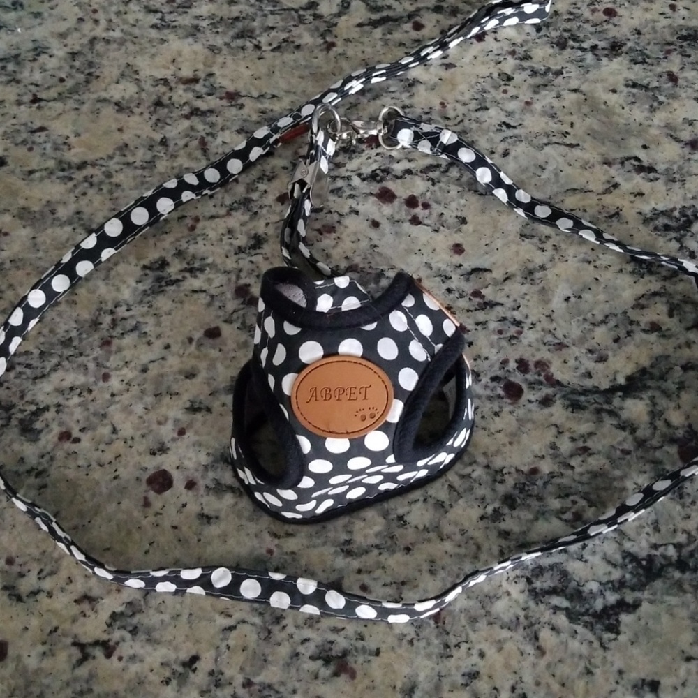 Dog harness and leash